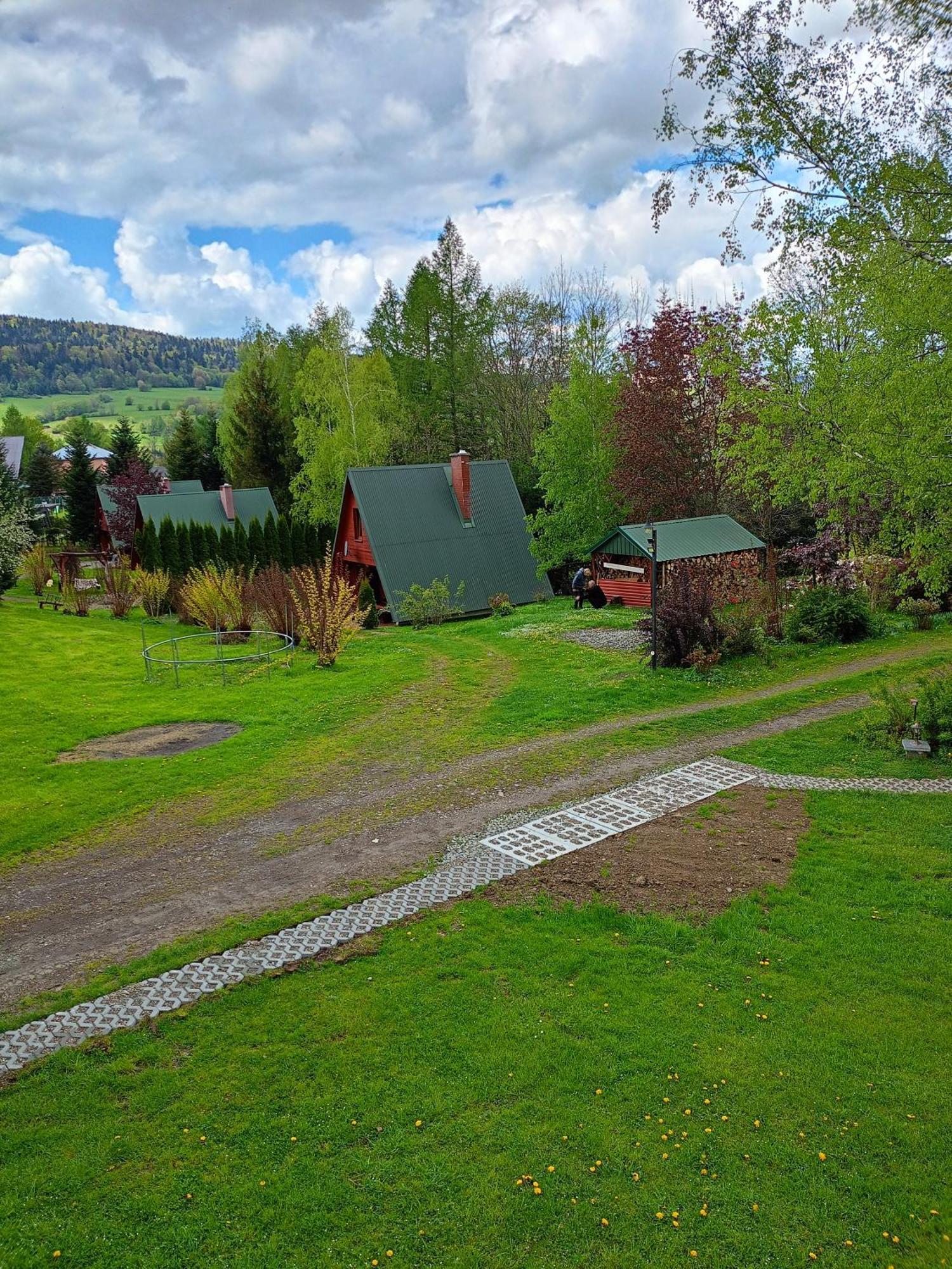 Domki Nad Potokiem W Baligrodzie Exterior foto